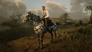 Red Dead Redemption 2 How to get a very fast horse. Как получить очень быструю лошадь