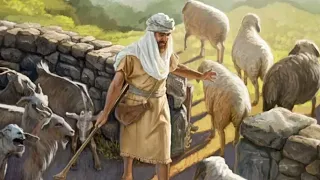 #ИИСУС #ХРИСТОС о великом суде. Об овцах #Евангелие #НовыйЗавет #Библия @ХРИСТОЛЮБ ✝️ @ВЕГАН #shorts