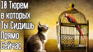 Как стать свободным?  Как стать независимым от людей? Как стать свободной личностью?