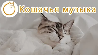 Музыка для кошек - Мягкие колыбельные от кошачьей тревоги 🐱💤