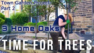 Small Town Garden Design Project: planting Trees #gardendesign #gardenproject #gardentransformation