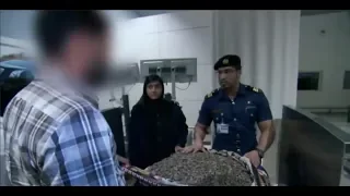 Endangered Oud Bark (chips) Caught - Dubai Airport