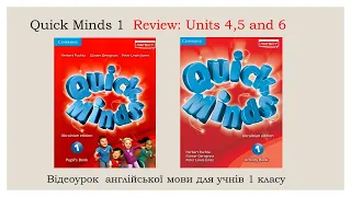 Quick minds 1 Review: Units 4, 5 and 6