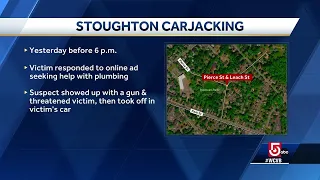 Online ad for plumbing help leads to carjacking