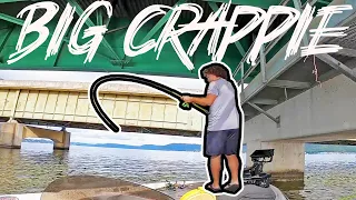 Catching GIANT CRAPPIE On LAKE GUNTERSVILLE! (LIVESCOPE)