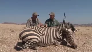 Outdoor Quest TV Namibia Zebra/Ostrich 2015