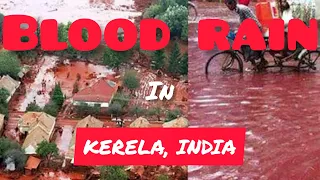 RED | BLOOD RAIN | KERALA | INDIA | STRANGEST WEATHER ON EARTH