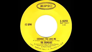 1968 HITS ARCHIVE: Suddenly You Love Me - Tremeloes (mono 45)