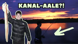 AAL-ACTION nach Feierabend?! Aalangeln am Kanal