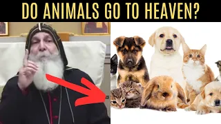 DO ANIMALS GO TO HEAVEN?