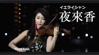 夜來香 - 小提琴  鄧麗君/山口淑子(李香蘭)  (Violin Cover by Momo) イエライシャン - バイオリン