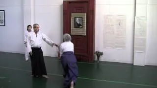 Aikido: Qualities of a Unified Field