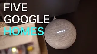 How Do A House FULL of Google Homes Interact? My Experiences