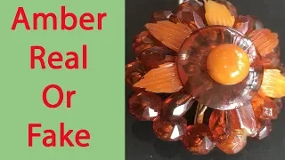 Look At Antique Amber How To Identify Test To See If It Is Real