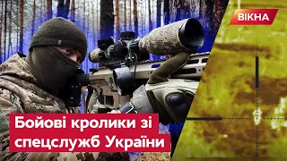 Полювання НА ЩУРІВ: снайпери СБУ відправили слідом "ЗА КОРАБЛЕМ" двох рашистів