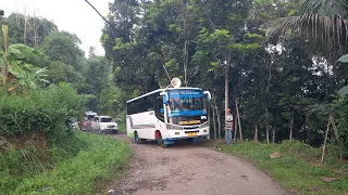 Solawatan diHutan`Bus Mulya jy nyangkut listrik`pohon☆jln rusak Pagermaneuh Cianjur selatan