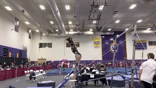 Ashlyn Tejeda- Level 9 Bars 9.5- Victory Classic 2022