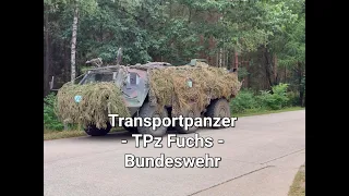 Transportpanzer (TPz) Fuchs Bundeswehr, German Army