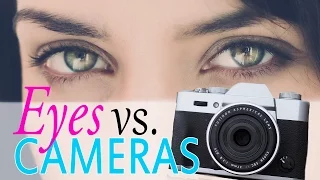 Human Eyes vs Cameras