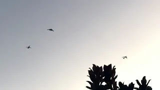 Super Bowl LV in Tampa - Trifecta Bomber Flyover - As Seen From Our Backyard