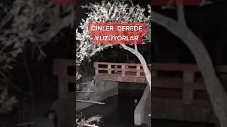 CİNLER DEREDE YÜZÜYOR