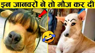 इन जानवरों से पंगा ना बाबा ना 😝😝.... Funny Animals Video 2022 (Part-8)