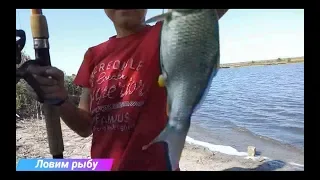 Рыбалка на карпа и карася! С сыном на рыбалке часть 2! fishing for carp