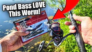 The EASIEST Way to Catch Summer Bass (Bank Fishing TIPS!)