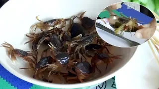 Papaya Salad With Live Crabs In Thailand