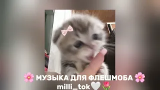 музыка для флешмоба 🦋💙