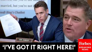 TENSE: Josh Hawley Grills Witness About Section 230 And Legal Liabilities For AI