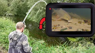 I Captured it Live On Camera! It Almost Took My Rod! (Underwater)