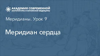 Меридиан сердца. Рефлексотерапия, обучение онлайн. Курсы Академии акупунктуры Акумед.