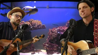 The Avett Brothers - C Sections And Railway Trestles (Live at the Fishcenter on Adult Swim)