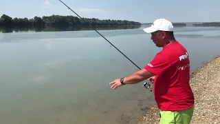 De ce se rup vârfurile la feeder