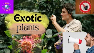 10 PLANTS YOU WON'T BELIEVE ACTUALLY EXIST _ TRAVEL GUIDE|#around_the_world