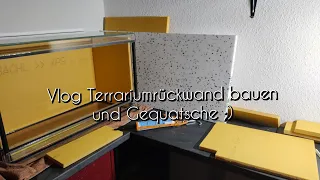 Vlog Terrariumrückwand bauen und Gequatsche Teil 1 ;)