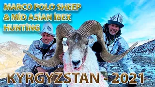 Marco Polo sheep and Mid Asian Ibex hunt KYRGYZSTAN November 2021