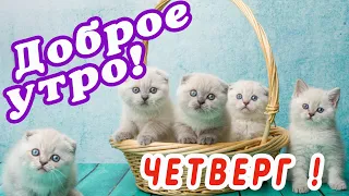 ЧЕТВЕРГ! 🌞 ДОБРОГО УТРА / ДОБРОЕ УТРО / С ДОБРЫМ УТРОМ / ДОБРОГО УТРА ЛЮБИМОЙ / ДОБРОЕ УТРО КАРТИНКИ