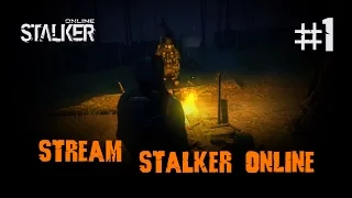 Stalker Online / 1 / Первые впечатления