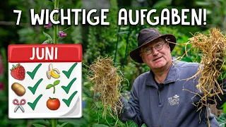 7 Gartenarbeiten, die du im Juni erledigen solltest! 🌱 - Erdbeeren, Tomaten, Rückschnitte und mehr