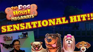 🎉 SENSATIONAL Partypopper win on Dog House Megaways!!