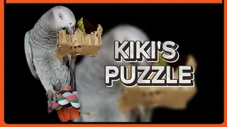 Watch Kiki Solve Her Hidden Pellet Puzzle! If you can stay awake 🎵😴