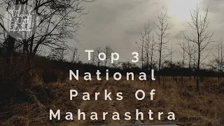 Top 3 national parks in Maharashtra 4k