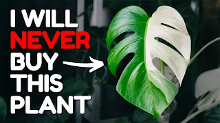 10 Stunning Plants That Are Actually A Nightmare!