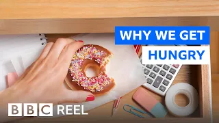 Why do we keep eating when we feel full? - BBC REEL