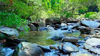 The soothing sounds of flowing water, white noise and the singing of forest birds.