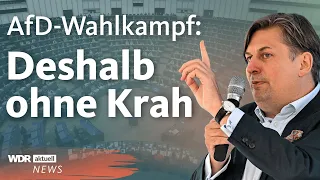 AfD verhängt Auftrittsverbot für Maximilian Krah | WDR Aktuelle Stunde
