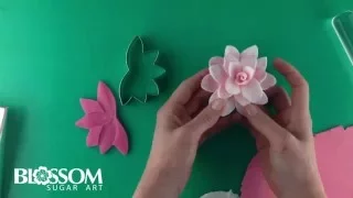 Quick and Easy Edible Waterlily