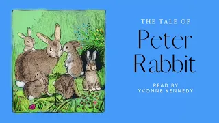 Peter Rabbit   HD 1080p